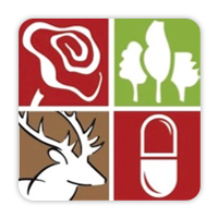 Vulkaneifel Apotheke